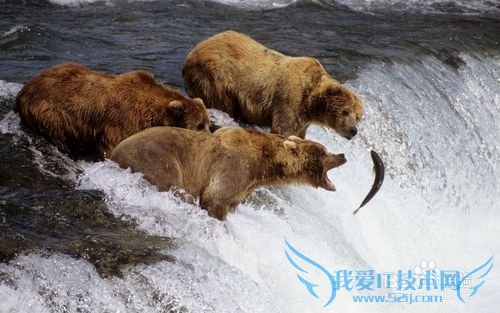 美国旅游景点介绍-阿拉斯加