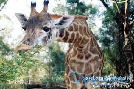 海南有什么好玩的地方?海南旅游攻略