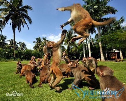 海南有什么好玩的地方?海南旅游攻略