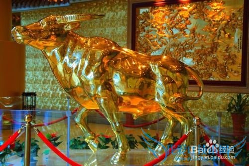 华西村旅游经验