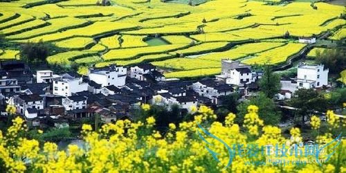 上饶市旅游景点