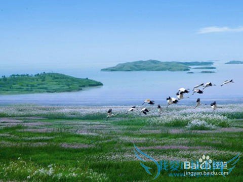 上饶市旅游景点