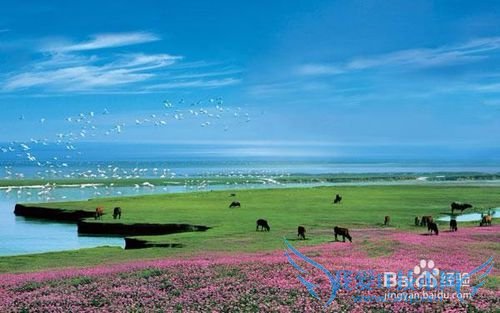 上饶市旅游景点