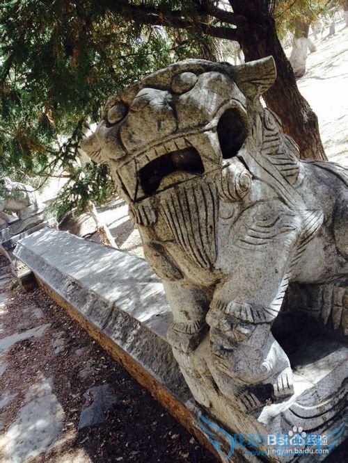 西藏旅游之拉萨篇