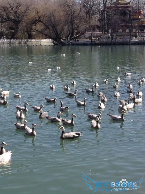 西藏旅游之拉萨篇