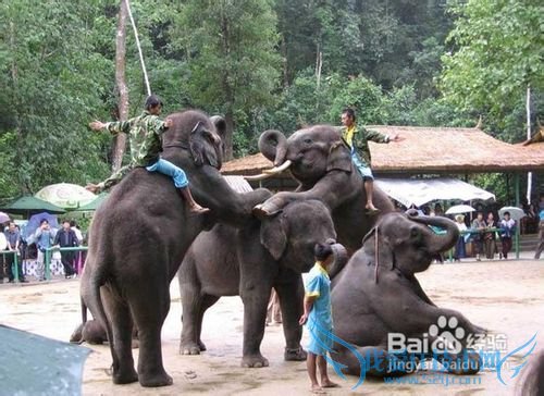 云南旅游的攻略