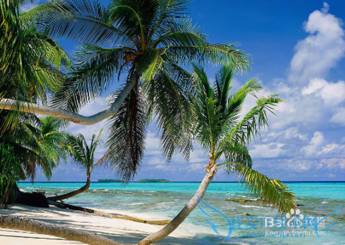 һ��ȥ���ΰ�