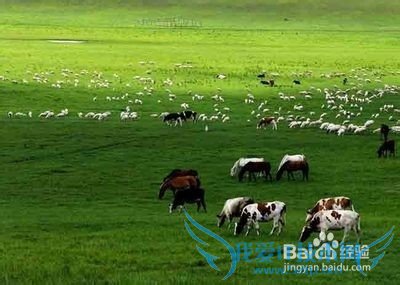 һ��ȥ���ΰ�