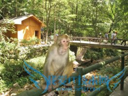 暑期旅游哪里去,这些地方值得观