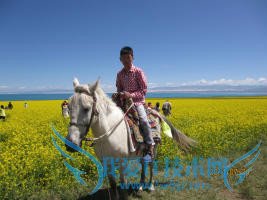 暑期旅游哪里去,这些地方值得观