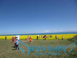 暑期旅游哪里去,这些地方值得观