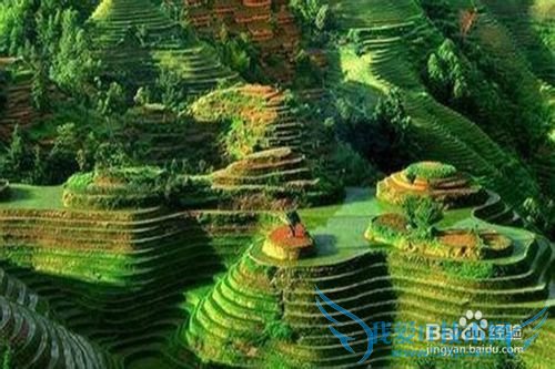 ������һ���ϸ��������