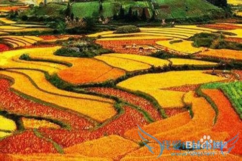 ������һ���ϸ��������