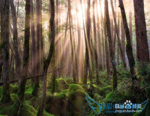 春季旅游要注意什么