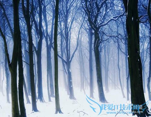 春季旅游要注意什么