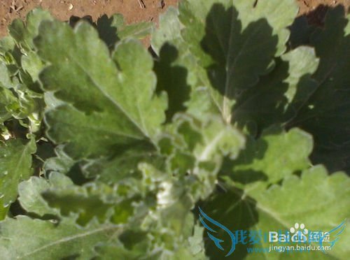 春季旅游要注意什么