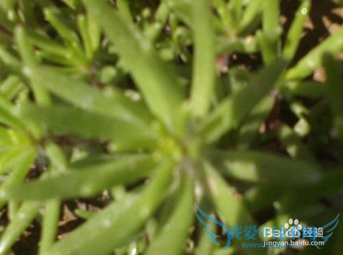 春季旅游要注意什么