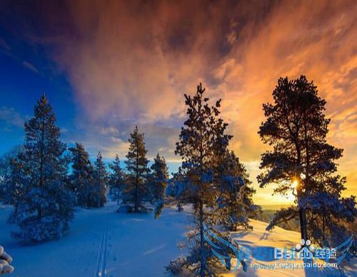 春季旅游要注意什么