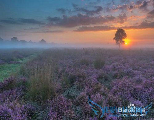 春季旅游要注意什么