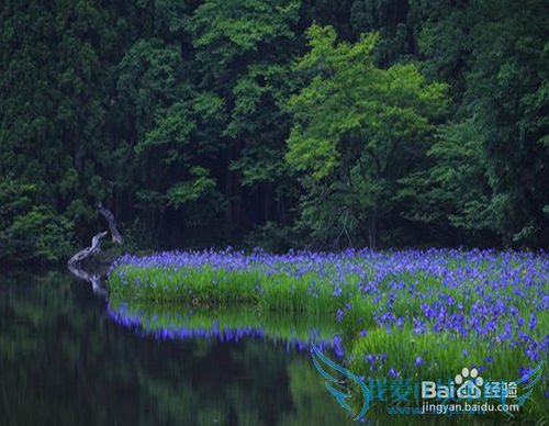 春季旅游要注意什么
