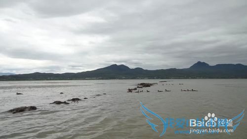 我的旅游经验之云南篇