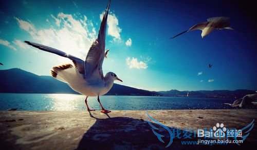 ²»µÃ²»È¥µÄ±ÜÊîÖ®µØ£¬ÏÄÌìÂÃÓÎÊ¥µØ