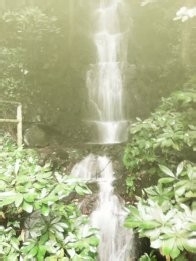 学生杭州旅游推荐