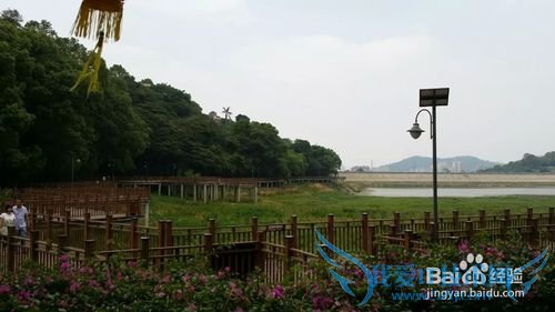 福州哪里好玩-福州旅游攻略