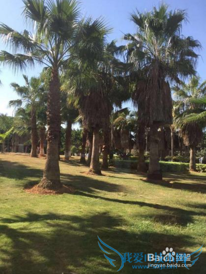 厦门春日旅游指南