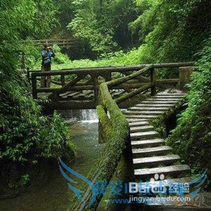 青城后山怎么玩?