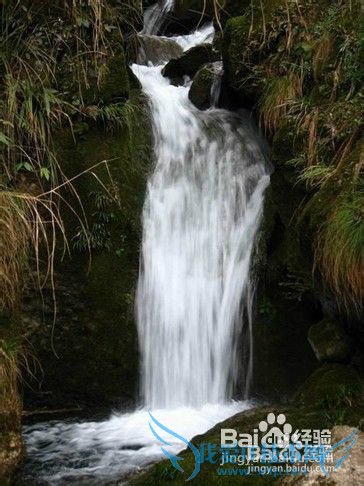青城后山怎么玩?