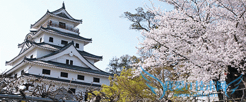 ×ôºØÂÃÓι¥ÂÔ