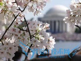 美东旅游之豪华五日