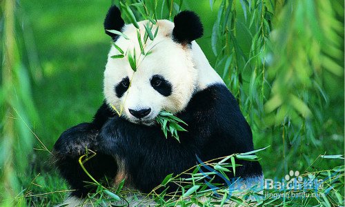 ɶĩȥĶ棿ܱ߷羰ȫɶĩ