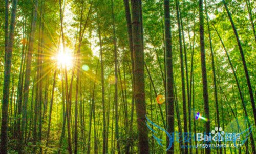 ɶĩȥĶ棿ܱ߷羰ȫɶĩ