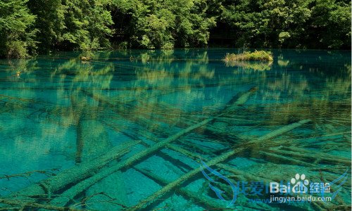 ɶĩȥĶ棿ܱ߷羰ȫɶĩ