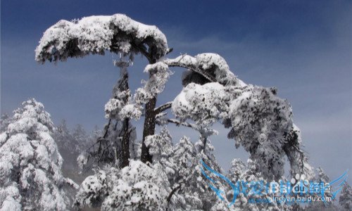 ɶĩȥĶ棿ܱ߷羰ȫɶĩ