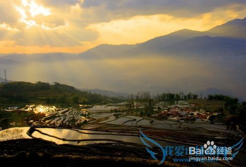 2015罗平油菜花元阳梯田东川红土地旅游攻略