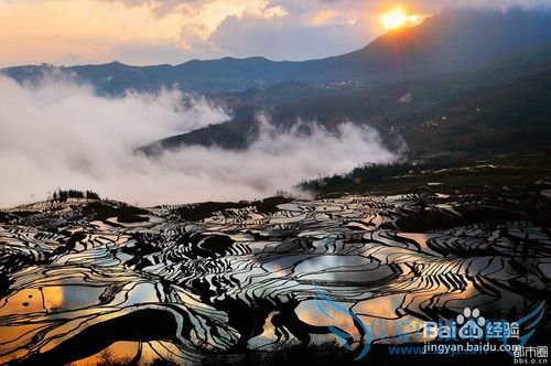 2015罗平油菜花元阳梯田东川红土地旅游攻略