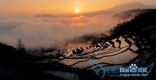 2015罗平油菜花元阳梯田东川红土地旅游攻略