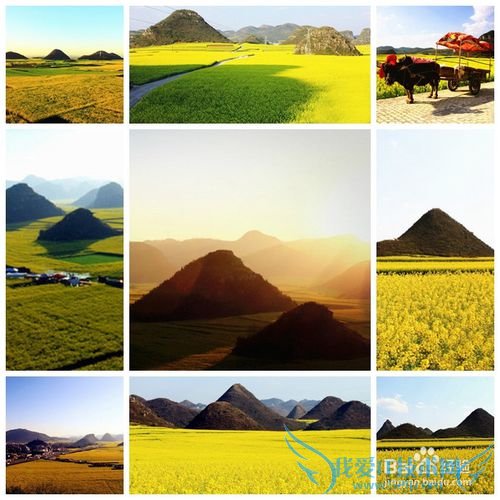 2015罗平油菜花元阳梯田东川红土地旅游攻略