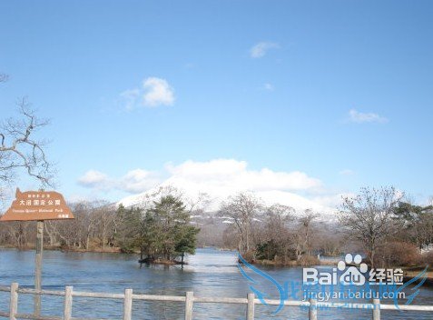 日本跟团旅游攻略