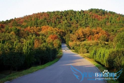 大武汉观光旅游指南(学霸版)