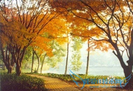 大武汉观光旅游指南(学霸版)