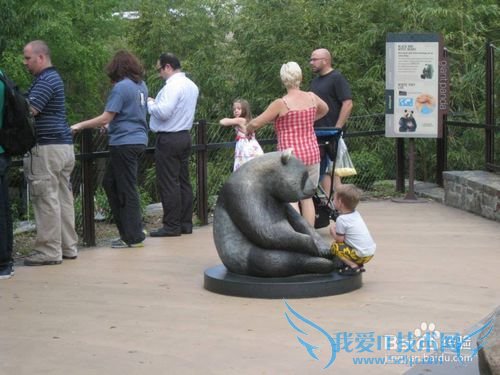 华盛顿特区 DC 旅游经验