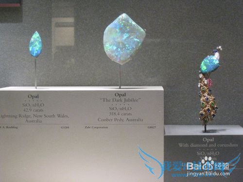 华盛顿特区 DC 旅游经验