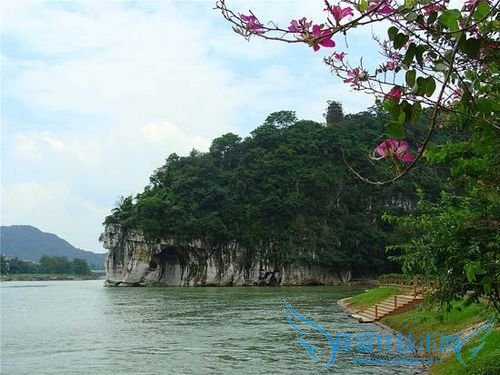 怎样安排2011年12个月的旅游计划