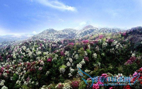 贵州哪些地方好玩,贵州的旅游景点