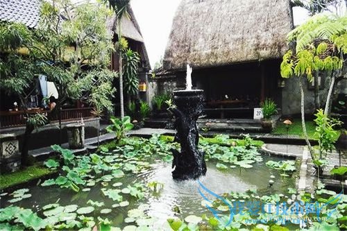 人在巴厘岛,怎么使用中国的旅游APP玩4天3夜