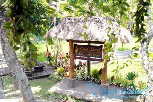 人在巴厘岛,怎么使用中国的旅游APP玩4天3夜